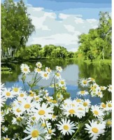 Картина по номерам Strateg Ромашки на берегу реки (GS1074)