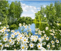 Картина по номерам Strateg Ромашки на берегу реки (GS1631)