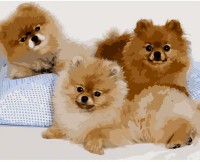 Tablou pe numere Strateg Три шпица (GS1131)