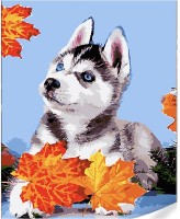 Картина по номерам Strateg Хаски в листьях (GS1628)