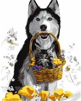 Картина по номерам Strateg Хаски и котенок в корзине (SS1060)