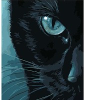 Картина по номерам Strateg Холодный взгляд (DY305)