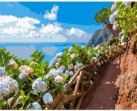 Картина по номерам Strateg Цветы у тропинки (GS1011)