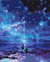 Tablou pe numere Brushme Ночная набережная (BS66007)