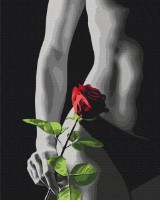 Картина по номерам Brushme Элегантный акцент (BS53919)