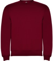 Мужская толстовка Roly Clasica 1070 Garnet, s.XL