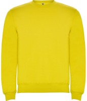 Мужская толстовка Roly Clasica 1070 Yellow, s.L