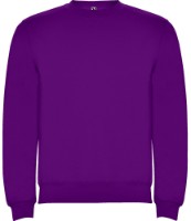 Мужская толстовка Roly Clasica 1070 Purple, s.XXL