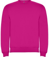 Мужская толстовка Roly Clasica 1070 Rosette, s.M