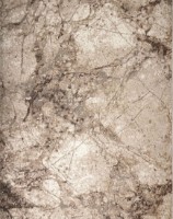 Ковёр CarpetLux Cappuccino 16139/11 0.80x9.00m