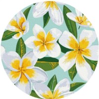 Картина по номерам Brushme Плюмерия (RC00046FC)