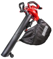 Aspirator-suflător de frunze Raider RD-EBV05