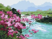 Tablou pe numere Funny Art 30x40cm RBS51394