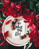 Картина по номерам Funny Art 40x50cm BS52035