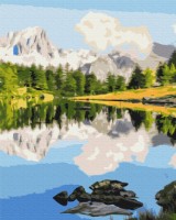 Tablou pe numere Funny Art 40x50cm BS52563