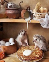 Pictura cu diamante după numere PRC 20x30cm Kb0018