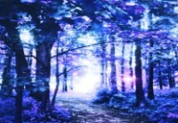 Pictura cu diamante după numere PRC 40x50cm Kb0043