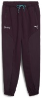 Мужские спортивные штаны Puma Mapf1 Statement Pants Midnight Plum, s.L