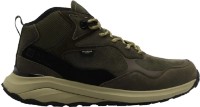 Ботинки мужские Jack Wolfskin Camp Fever Texapore Mid M Cold Coffee, s.40