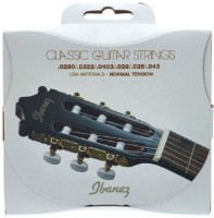 Corzi Ibanez ICLS6NT