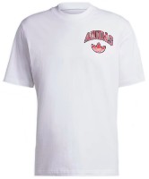 Мужская футболка Adidas Vrct Tee 2 White, s.M