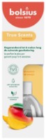 Аромадиффузор Bolsius 101926806710 45ml