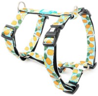 Ham Max & Molly Sweet Pineapple 225013 XS