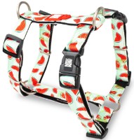 Ham Max & Molly Watermelon 175016 L