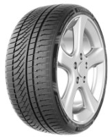Шина Starmaxx Polarmaxx Sport 245/45 R17 99V