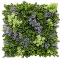 Искусственная изгородь Tenax Greenery Moss 50x50cm (17856)