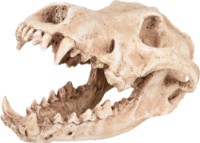 Декор для аквариумов и террариумов Flamingo Skelo Skull Predator (410220)