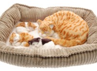 Интерактивная игрушка Perfect Petzzz Cat with kittens 92-17