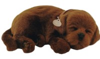 Jucarii interactive Perfect Petzzz Chocolate Lab 91-13