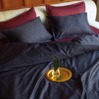 Lenjerie de pat Issimo Ralph Double