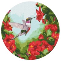 Картина по номерам Brushme Колибри (RC00012FC)
