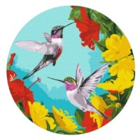 Картина по номерам Brushme Колибри в цветах (RC0001FC)