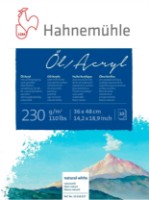 Sketchbook Hahnemühle Oil & Acrylic 230 36x48