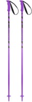 Bețe de schi Elan Speed Rod Violet 115cm