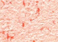 Tapeturi umede Excelent Wall Color 5 Dark Orange