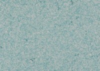 Tapeturi umede Excelent Wall Color 9 Green