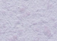 Tapeturi umede Excelent Wall Ellie 6