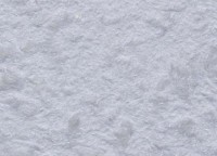 Tapeturi umede Excelent Wall Ellie 8