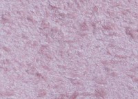 Tapeturi umede Excelent Wall Ellie 10