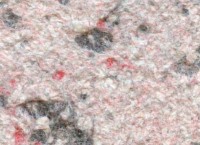 Tapeturi umede Excelent Wall Fantazy 4 Burgundi