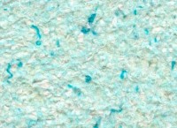 Tapeturi umede Excelent Wall Fantazy 5 Cold Blue