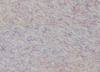 Жидкие обои Excelent Wall Lana 4