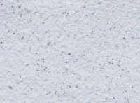 Tapeturi umede Excelent Wall Paradise 1