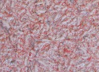 Жидкие обои Excelent Wall Bianco 4