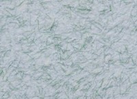 Tapeturi umede Excelent Wall Verona 5