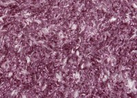 Жидкие обои Excelent Wall Vesta 1